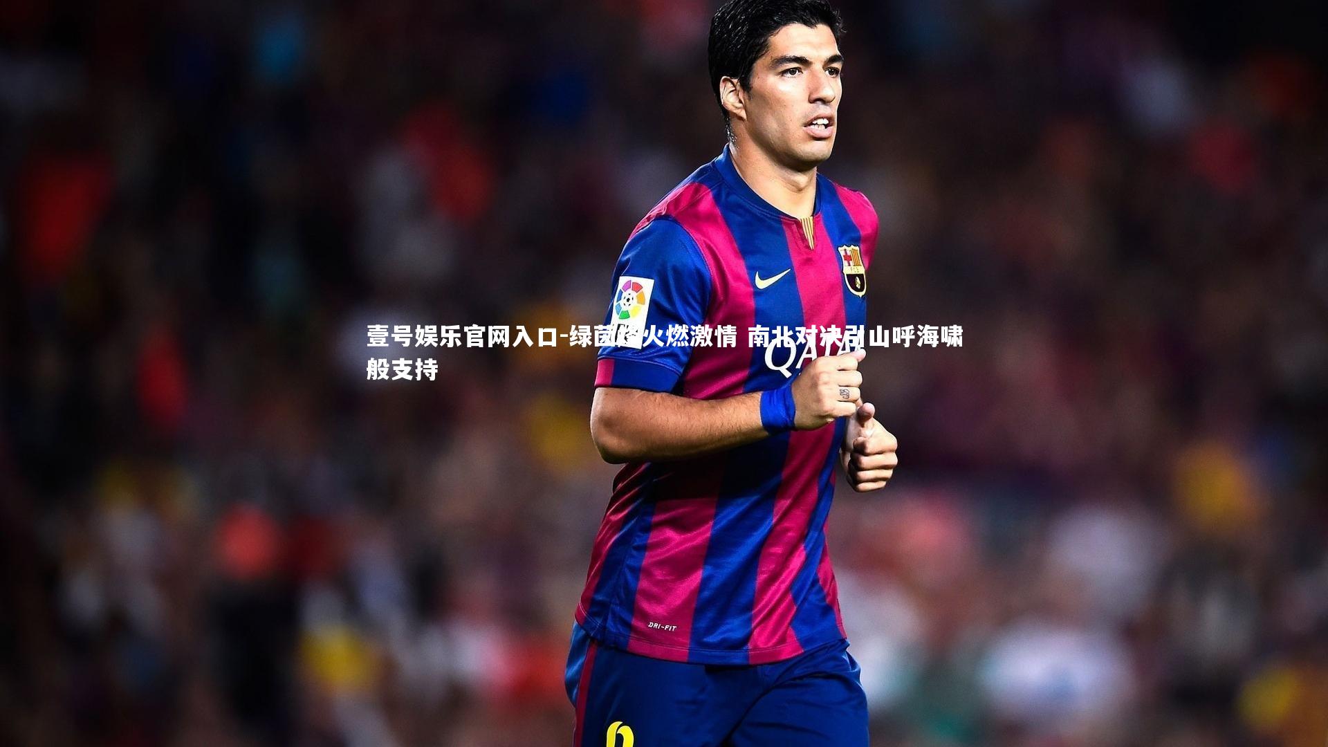 绿茵烽火燃激情 南北对决引山呼海啸般支持