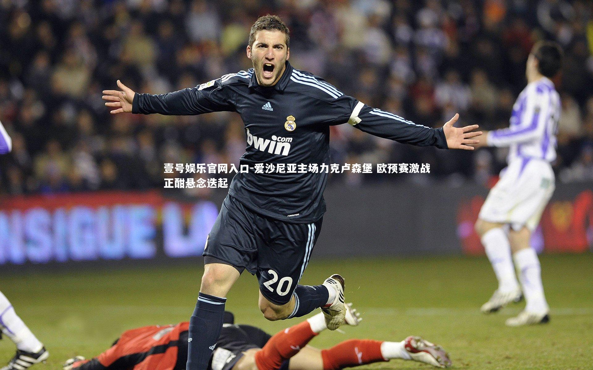 爱沙尼亚主场力克卢森堡 欧预赛激战正酣悬念迭起